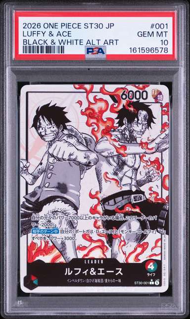 Luffy & Ace
