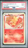 Torchic