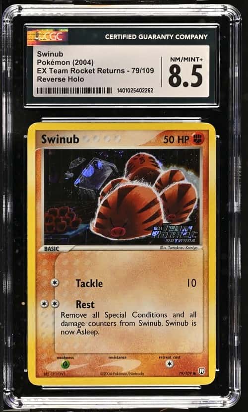 Swinub