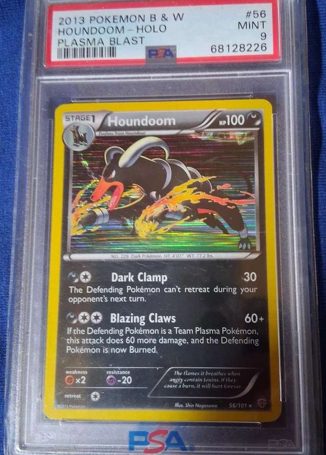 Houndoom