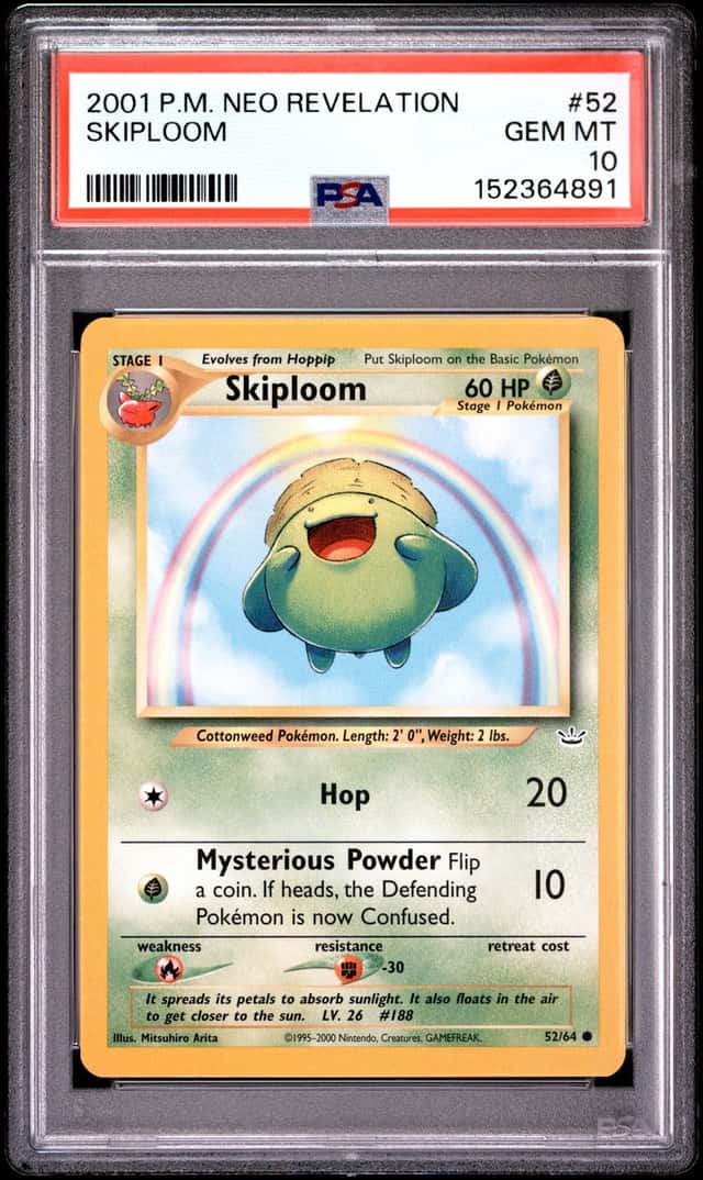 Skiploom