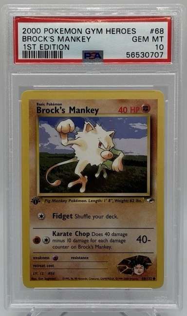 Brock's Mankey
