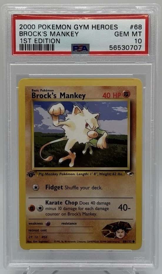 Brock's Mankey