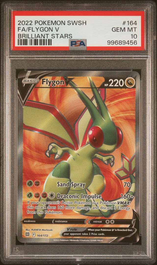 Flygon V