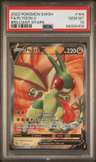 Flygon V