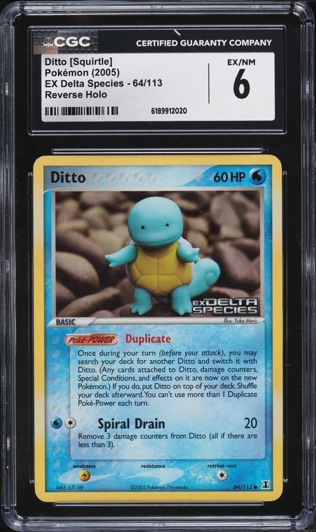 Ditto [Squirtle]