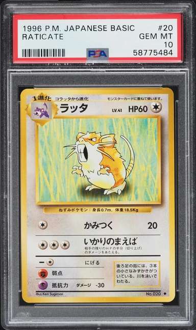 Raticate