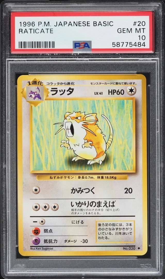 Raticate