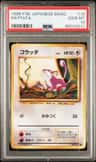 Rattata