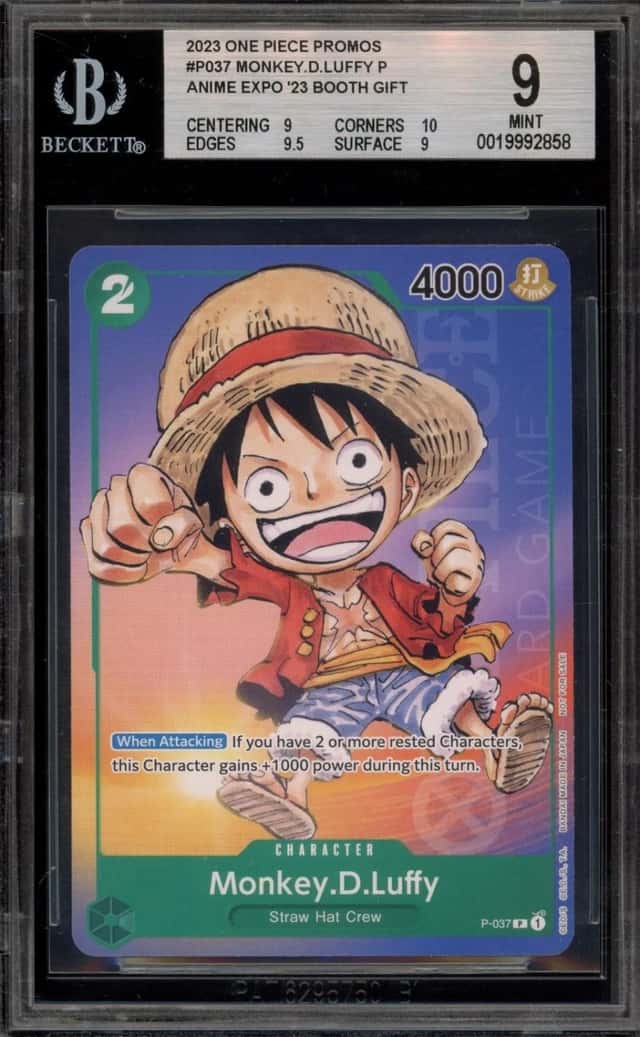Monkey D. Luffy