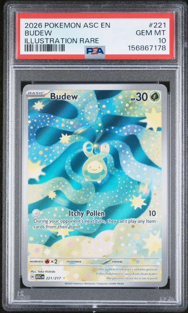 Budew