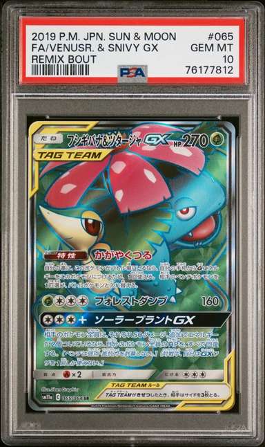 Venusaur & Snivy GX