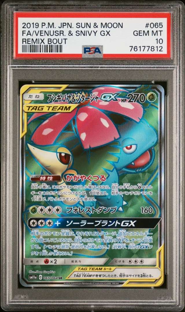Venusaur & Snivy GX