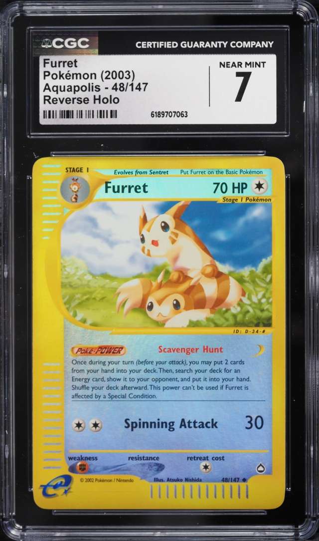 Furret