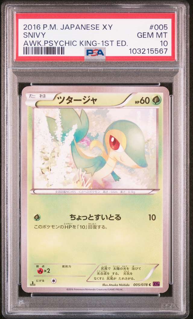 Snivy