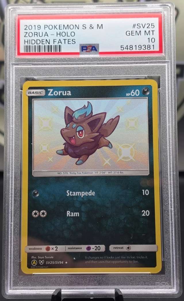 Zorua
