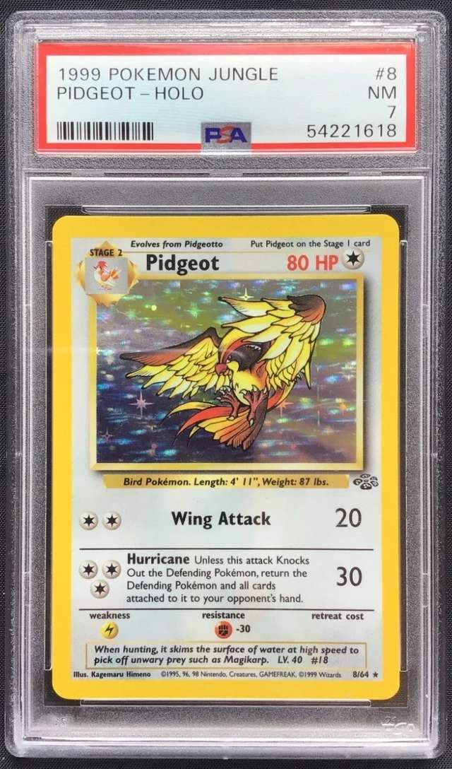 PIDGEOT