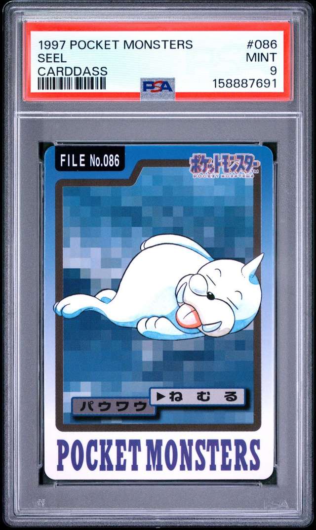 Seel