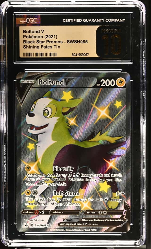 Boltund V