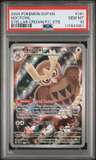 Noctowl