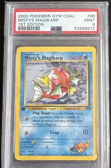 Misty's Magikarp