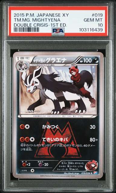 TM.MG. MIGHTYENA