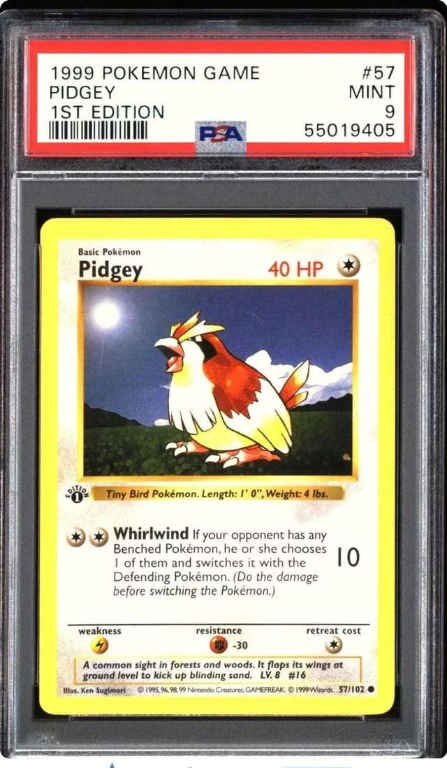 PIDGEY