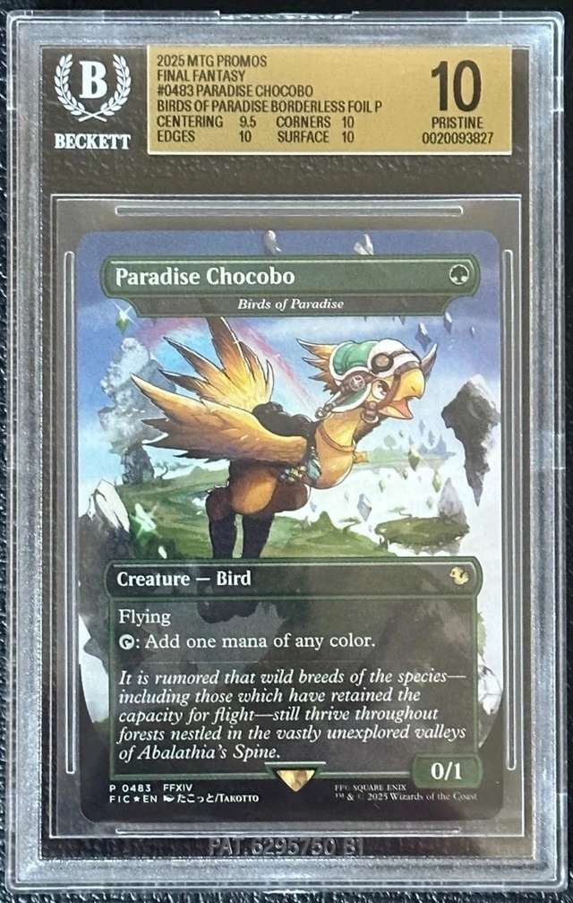 Paradise Chocobo