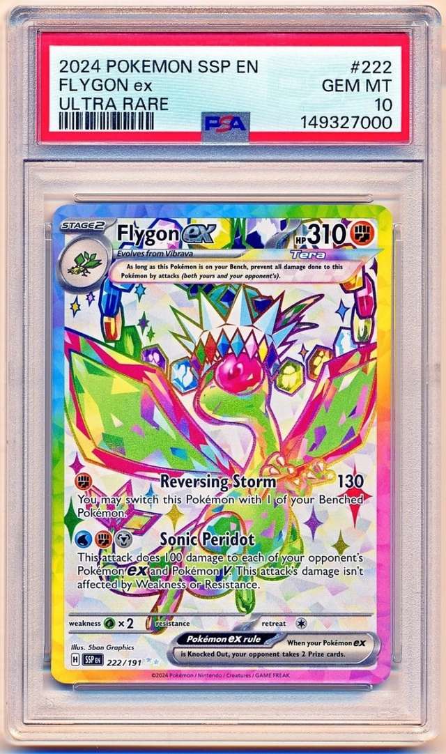 FLYGON ex