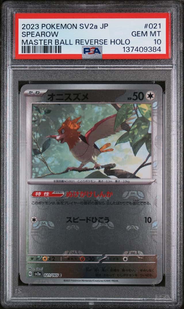 Spearow