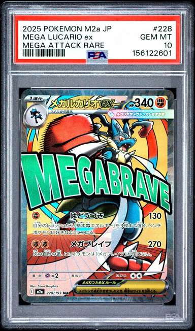 MEGA LUCARIO ex