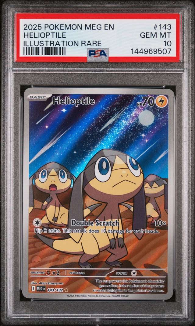 Helioptile