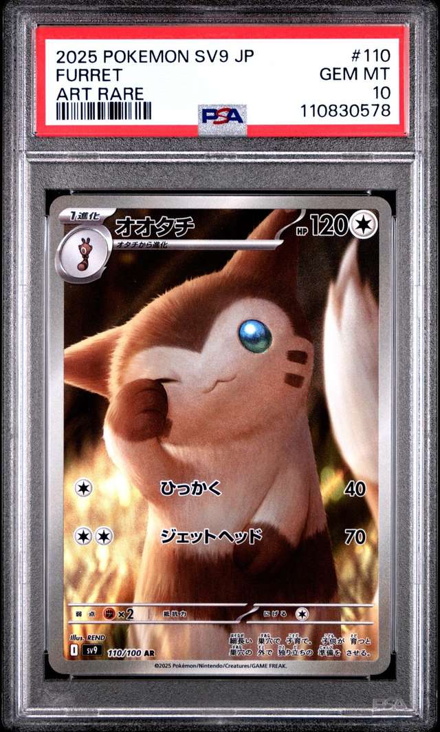 Furret