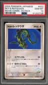 Sky'S Rayquaza