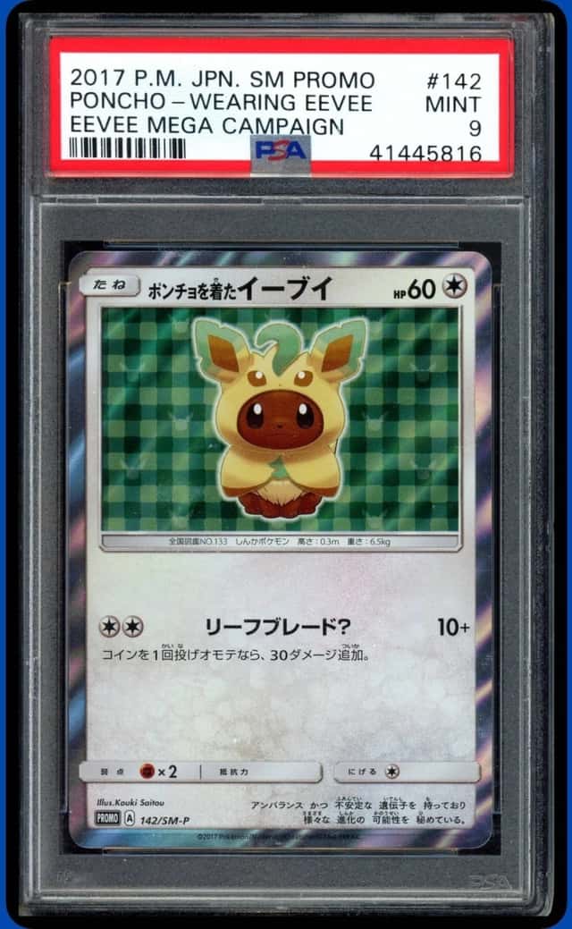 Poncho-Wearing Eevee