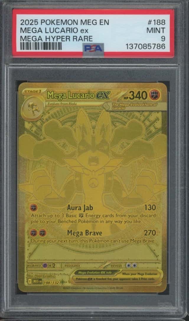 MEGA LUCARIO ex