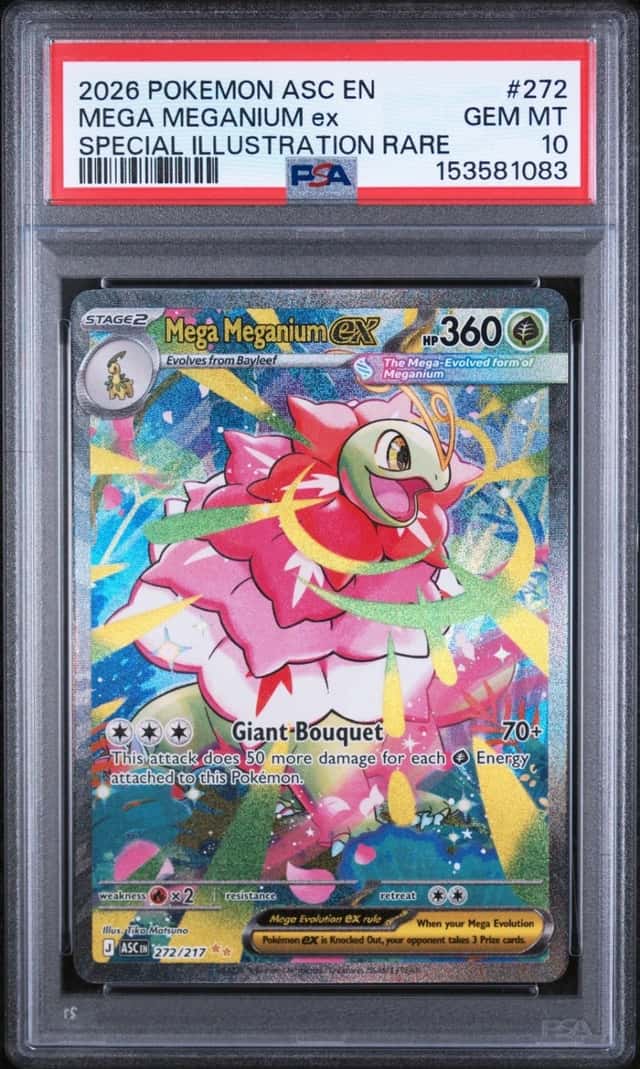 MEGA MEGANIUM ex
