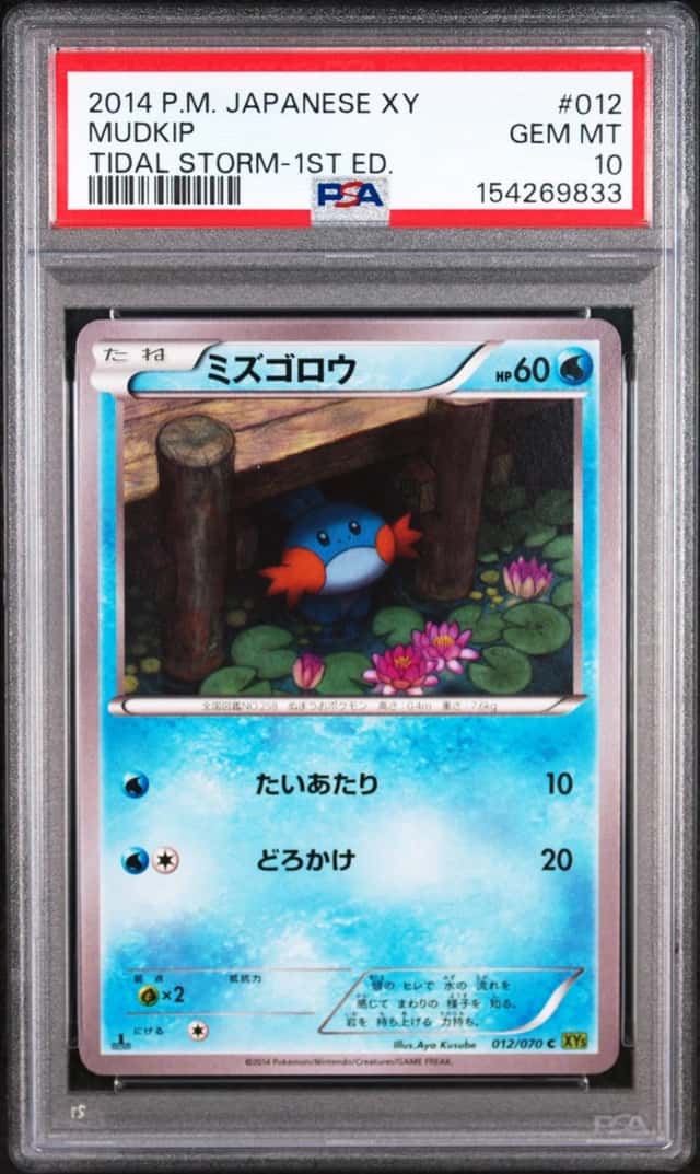 Mudkip
