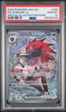 N'S Zoroark Ex