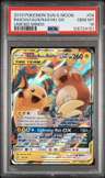 Raichu & Alolan Raichu Gx
