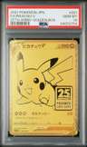Fa/pikachu V