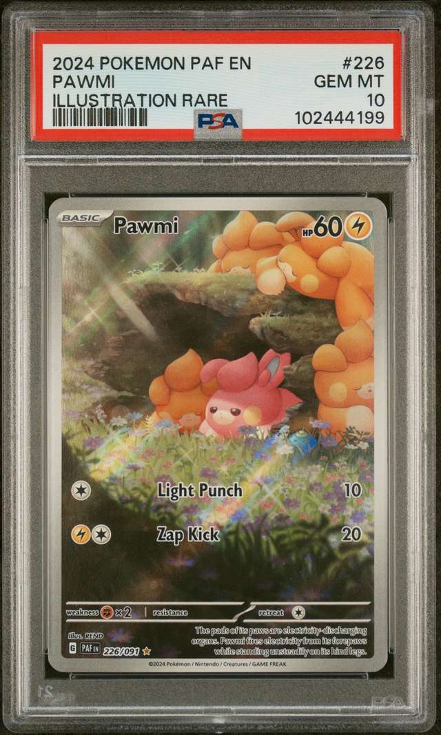 Pawmi
