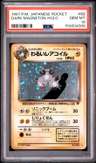 Dark Magneton