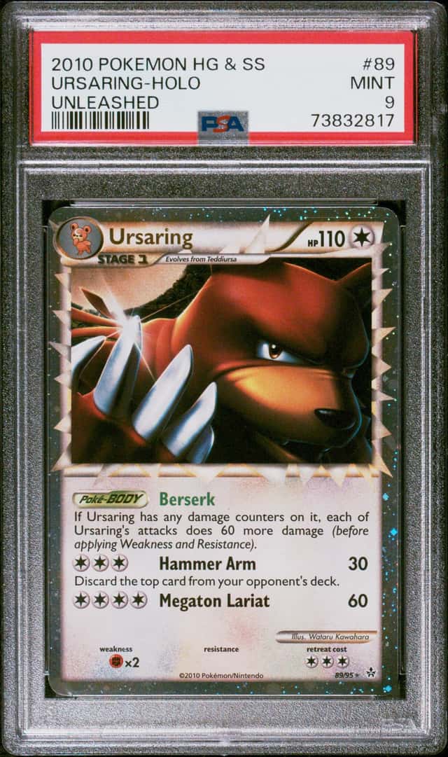 Ursaring