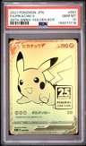 Fa/pikachu V