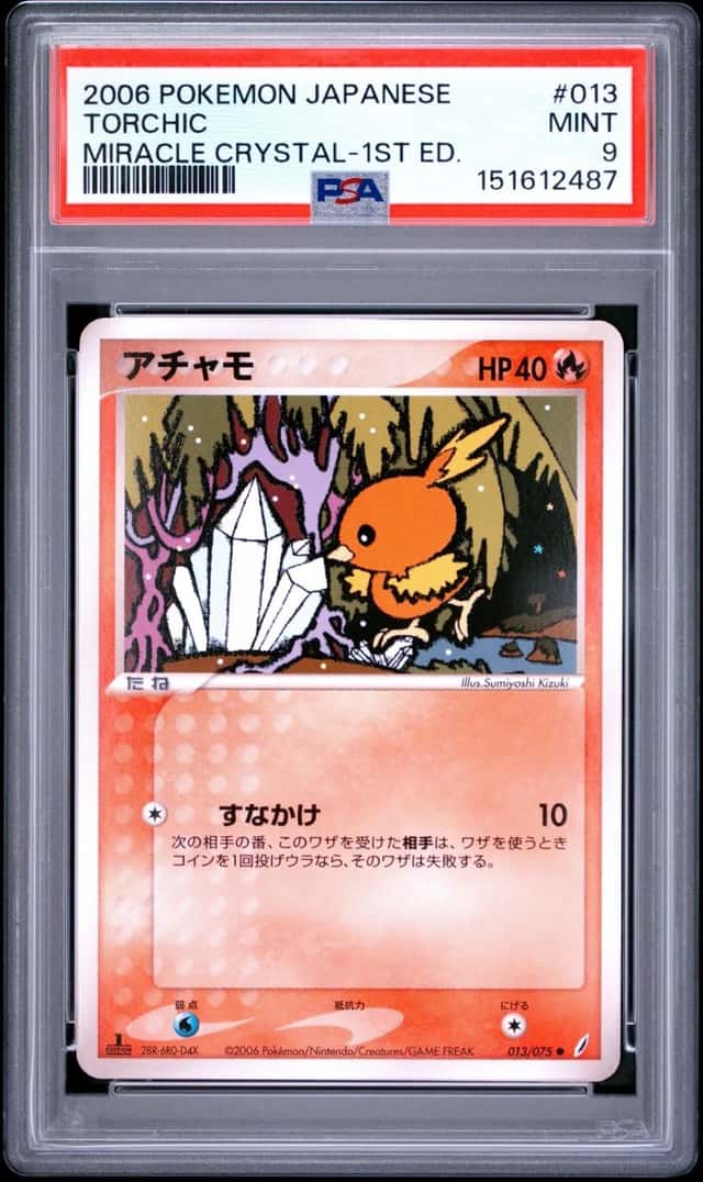 Torchic