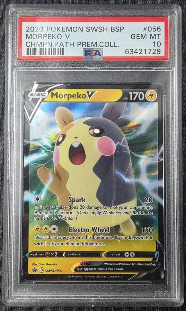 Morpeko V