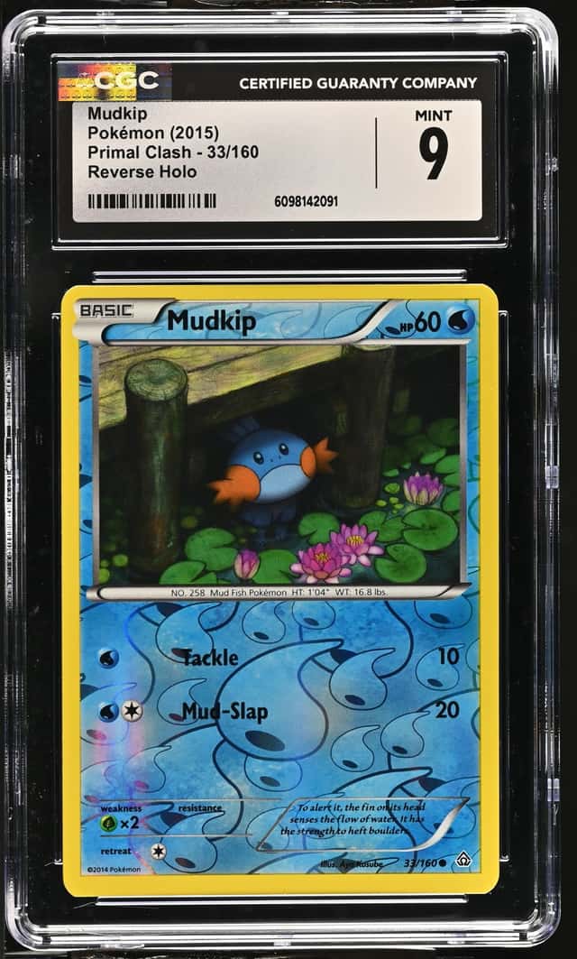 Mudkip