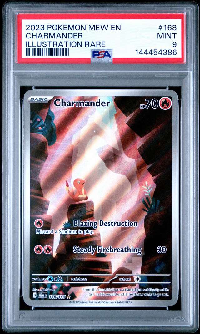 CHARMANDER