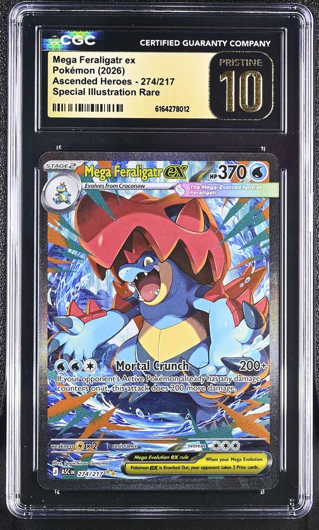 MEGA FERALIGATR ex